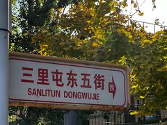 -三里屯东五街银杏大道