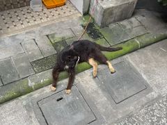 -荔湾博物馆