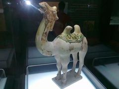 -衢州市博物馆