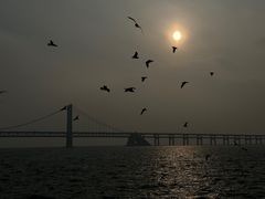 -星海广场
