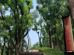 -马王堆汉墓遗址