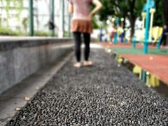 -天河体育中心