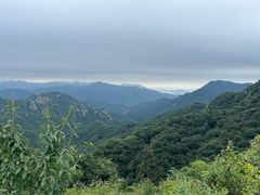 -大岭沟猕猴桃谷风景区