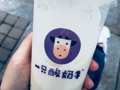-一只酸奶牛(八一路店)