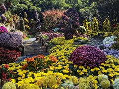 -杭州植物园