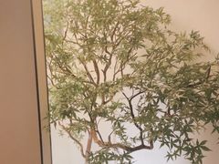 -玖五京菜(杭州城北万象城店)
