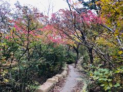 -南山健身公园