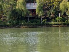 -青枫公园