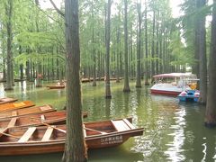-渌洋湖湿地公园