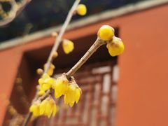 -北京植物园-展览温室