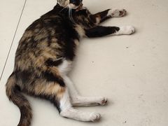 -南小区飘香土豆片(船山区店)