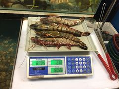 -ZF Seafood Restaurant 卓峰海鲜餐