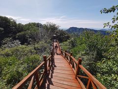 -大岭沟猕猴桃谷风景区