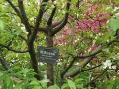 -荆川公园