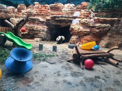 -石家庄市动物园