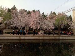 -元大都城垣遗址公园