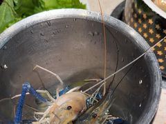 -宴立方海鲜自助(义乌万达广场店)