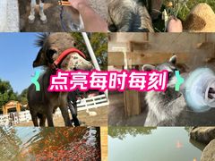 -白马涧龙池景区