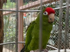 -南宫五洲植物乐园