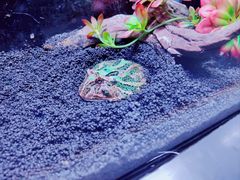 -重庆欢乐海底世界
