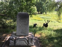 -北京麋鹿生态实验中心