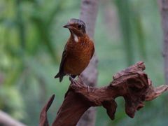 -苏州河梦清园环保主题公园