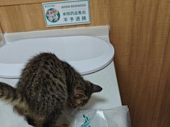 -瑞派宠物医院·24h·骨外科·皮肤科·全科宠物医疗转诊中心(沈阳浑南院)