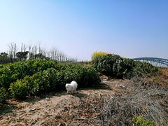-春花秋色城市公园