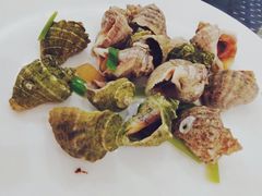 白灼海螺-四海鲜渔家菜(黄金海岸店)