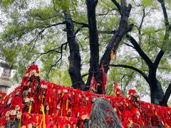 -大槐树寻根祭祖园