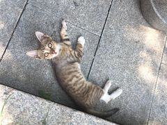 -太湖好灶头土菜馆(石公路店)