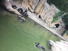 -燕塞湖鸟语林景区