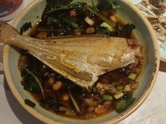 -费明中罗非鱼(大石坝店)