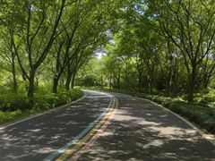 -同里国家湿地公园
