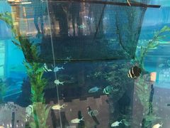 -鸿通城购物中心