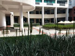 -华侨大学(厦门校区)