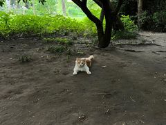 -扬州大运河文化旅游度假区·盆景园