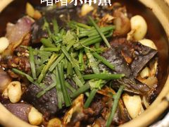 -金龙·打边炉(南京西路店)