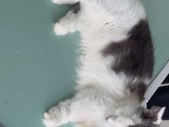 -怪兽屋·羊驼·猫咖·狗咖(俊华广场店)