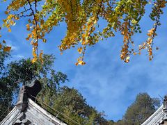 -潭柘寺景区