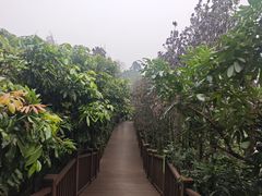 -张坝桂圆林公园