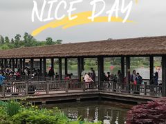 -枫香湖儿童公园