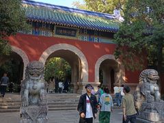 -灵谷景区