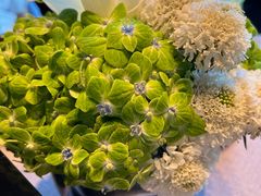 -新荣记(BFC外滩金融中心店)