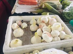 -登州市场(登州路店)