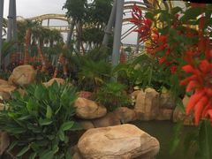 -七彩云南欢乐世界