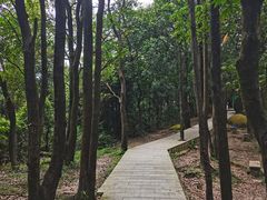 -火炉山森林公园