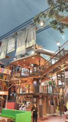 -卡通尼·Safari非洲探索乐园·生日会(金桥国际商业广场店)