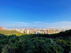 -仙岳公园