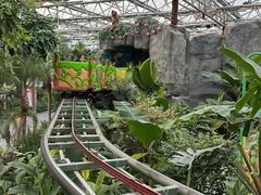 -南宫五洲植物乐园